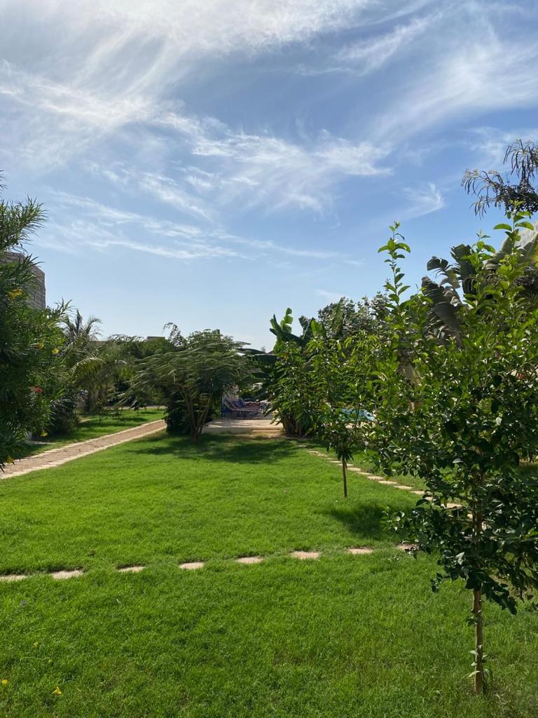 Villa Saraba Сомоне Екстер'єр фото